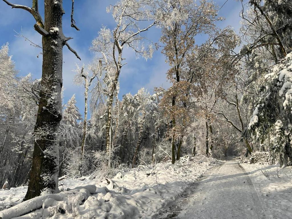 Haus Astenblick In Winterberg Fuer Bis Zu 35 Personen Fuer Wanderveranstaltungen Und Familienfeiern Екстер'єр фото